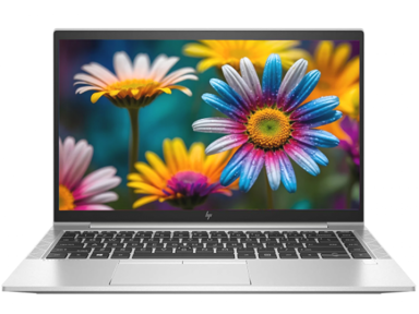 HP Laptop EliteBook 845 G7 / AMD Ryzen 5 Pro 4650U, 14", 1920 x 1080, 8GB RAM, 512GB SSD, Windows 11 Home, srebrna (obnovljen)